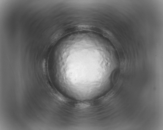 X0000061720765200512161555