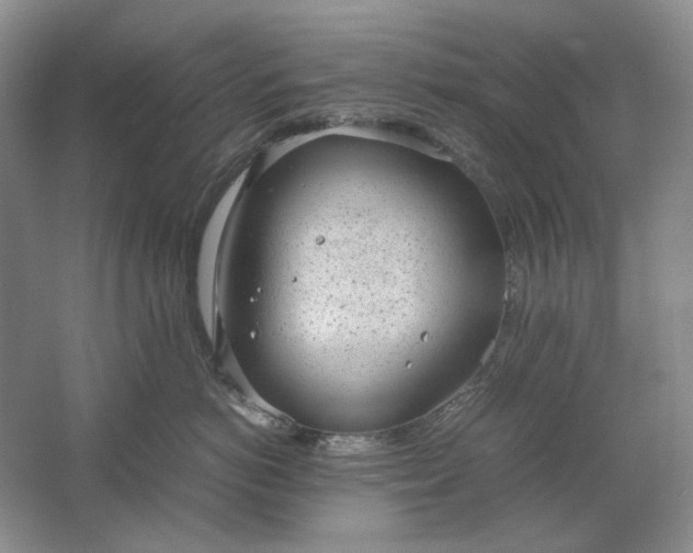 X0000061720766200512161555