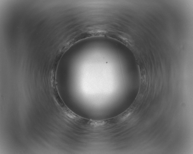 X0000061720767200512161555