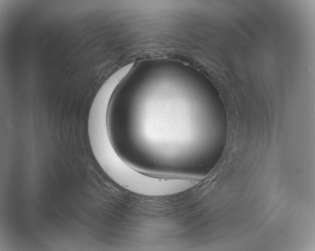 X0000061720768200512161555