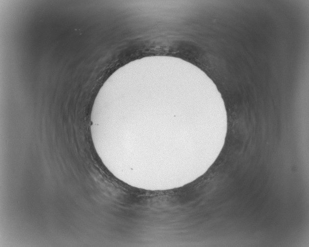 X0000061720769200512161554