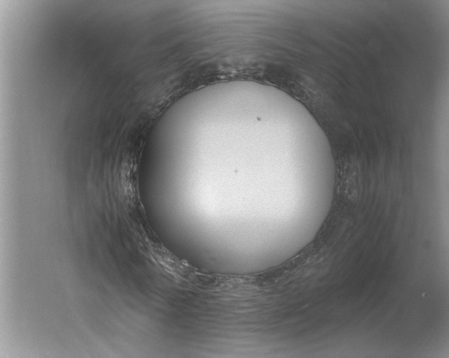 X0000061720770200512161554