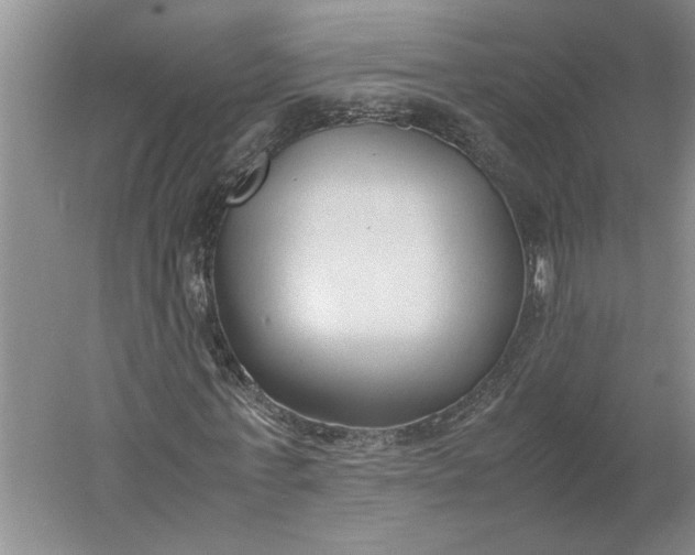 X0000061720771200512161554