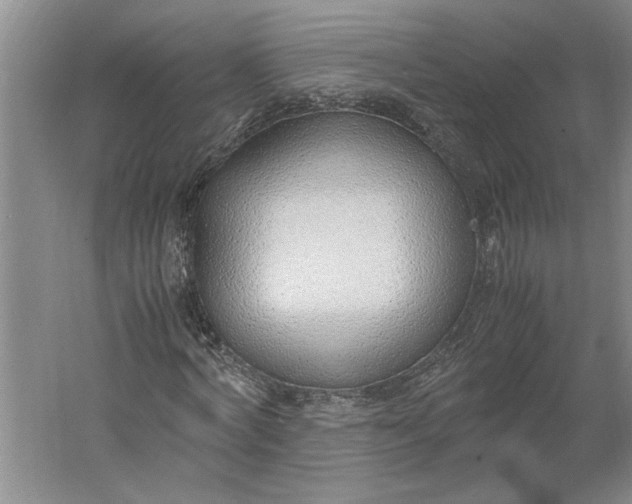 X0000061720772200512161554