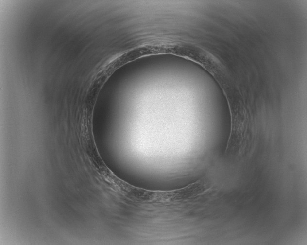 X0000061720773200512161554