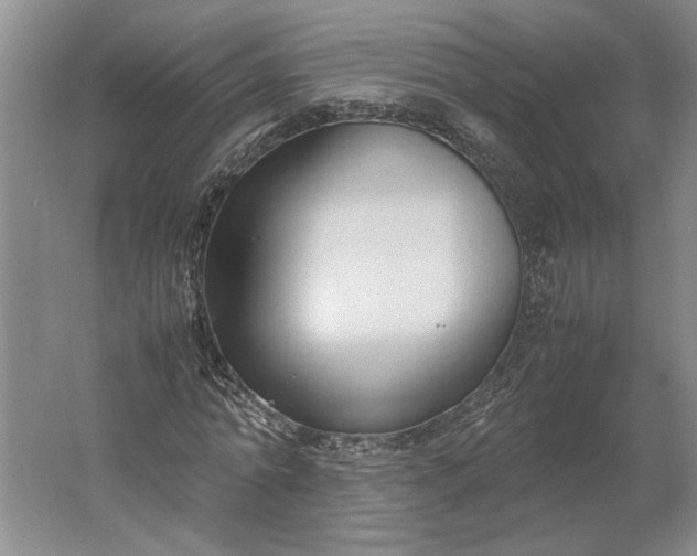 X0000061720774200512161554