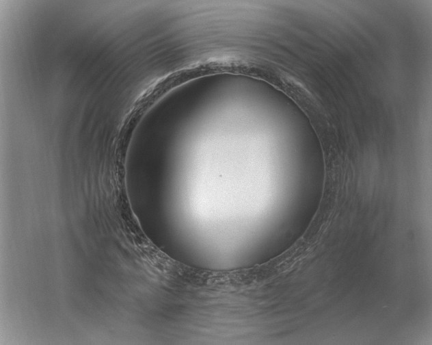 X0000061720776200512161554