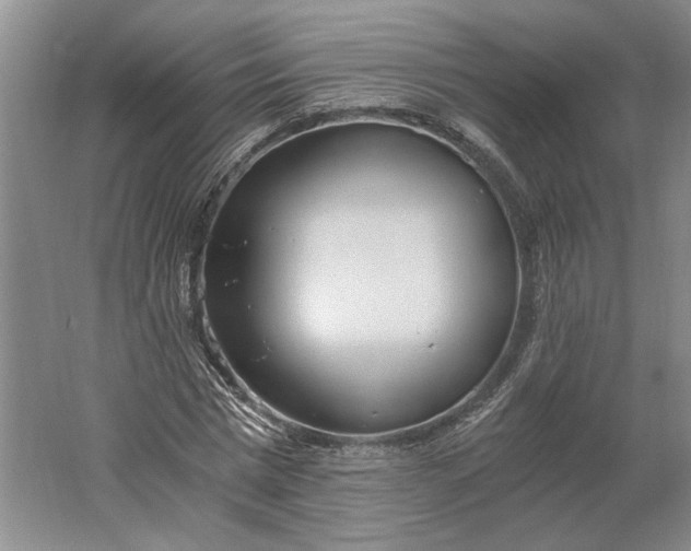 X0000061720777200512161554