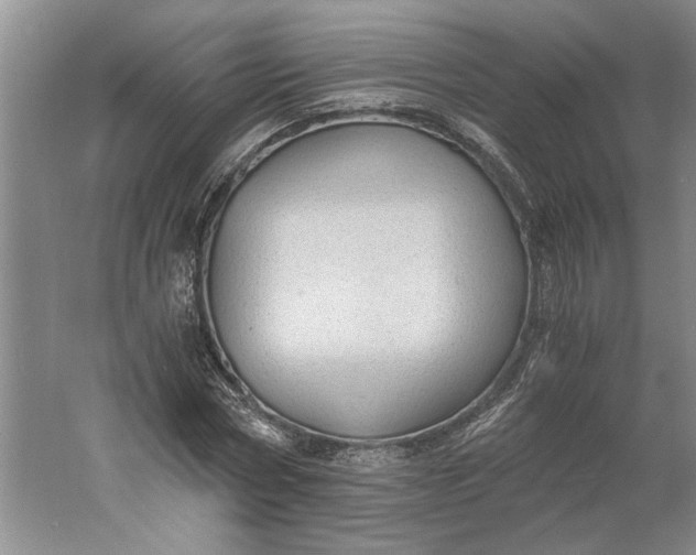 X0000061720778200512161554