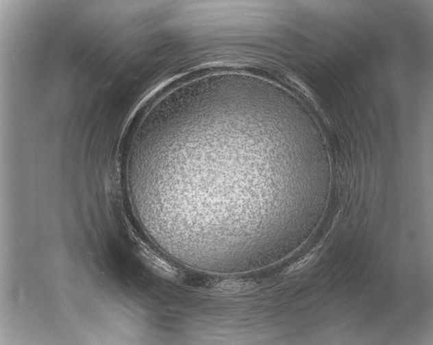 X0000061720779200512161554