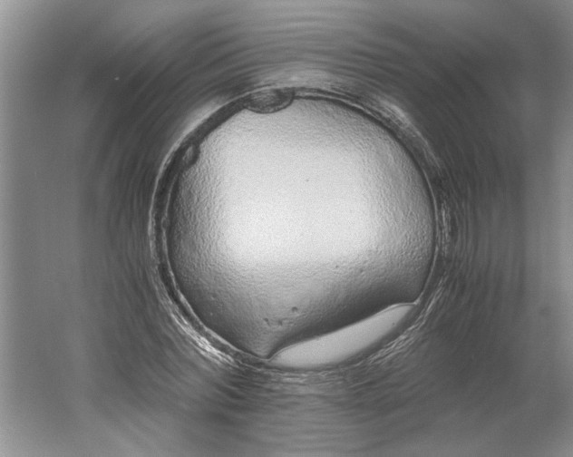 X0000061720780200512161554