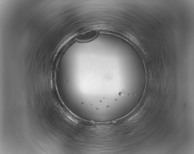 X0000061720782200512161554