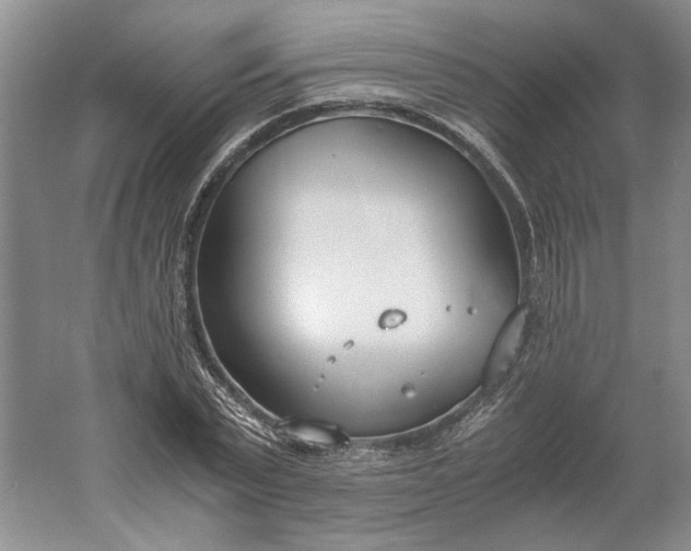 X0000061720783200512161554