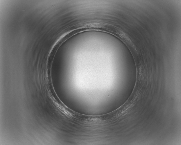 X0000061720784200512161554