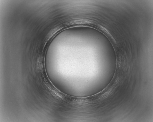 X0000061720786200512161554