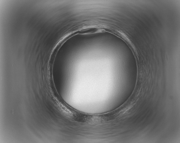 X0000061720787200512161554