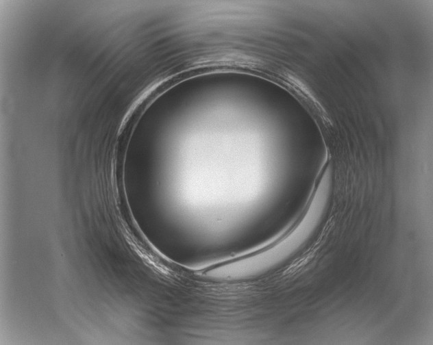 X0000061720788200512161554