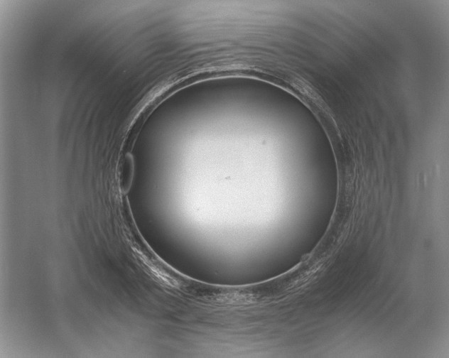 X0000061720789200512161554