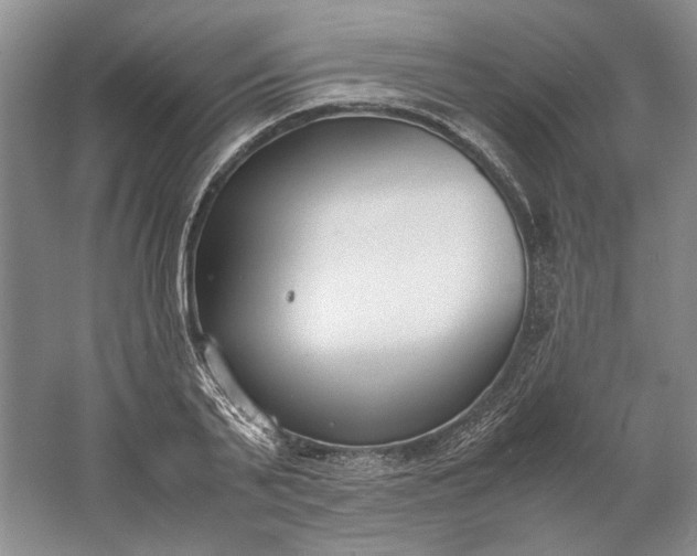 X0000061720791200512161554