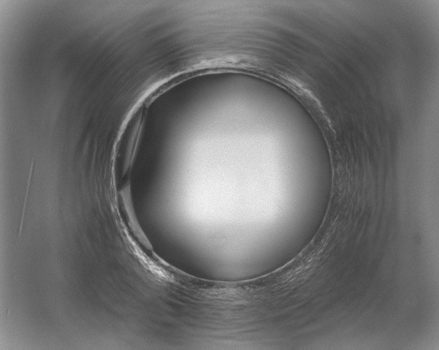 X0000061720792200512161554