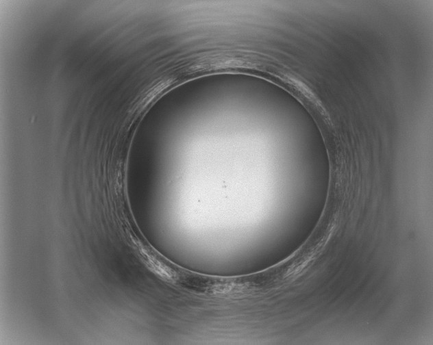 X0000061720793200512161554