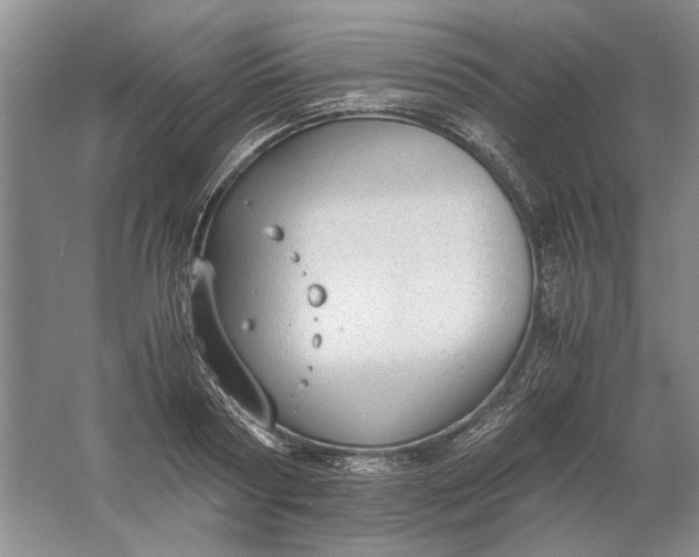 X0000061720794200512161554