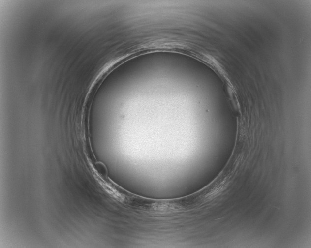 X0000061720795200512161554