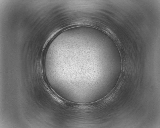 X0000061720796200512161554