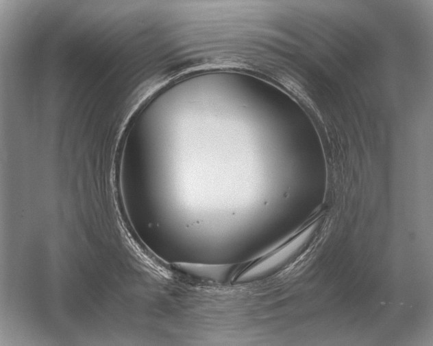 X0000061720797200512161554