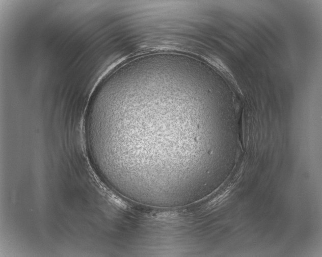 X0000061720798200512161554