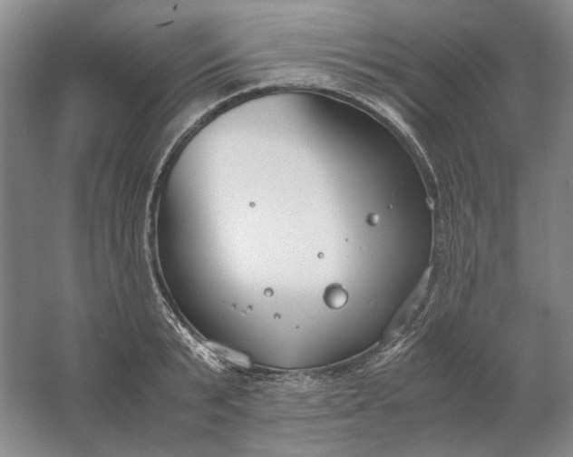 X0000061720799200512161554