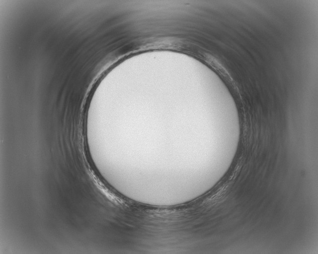 X0000061720800200512161554