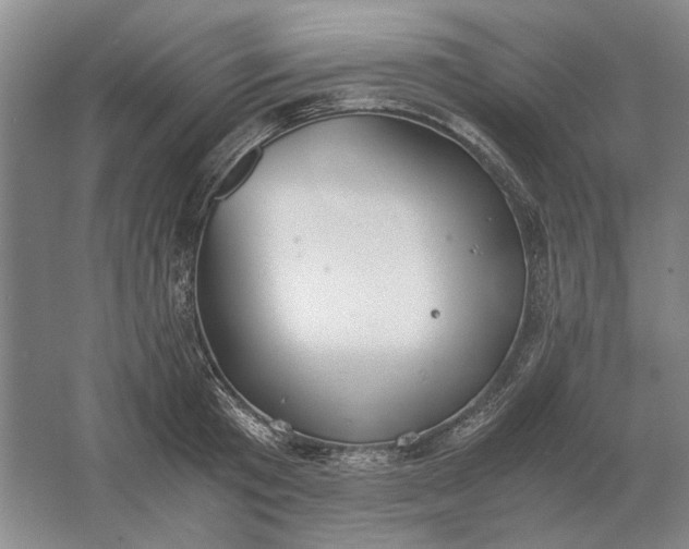 X0000061720801200512161554