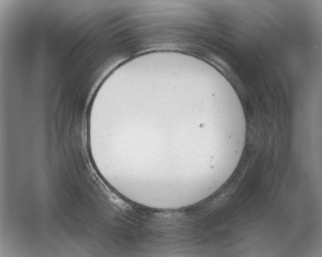 X0000061720804200512161554