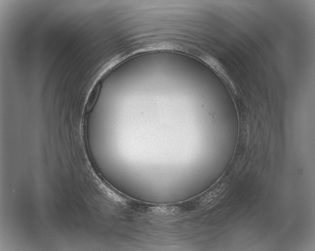 X0000061720805200512161554