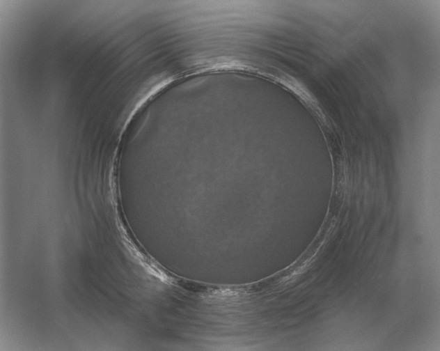 X0000061720806200512161554