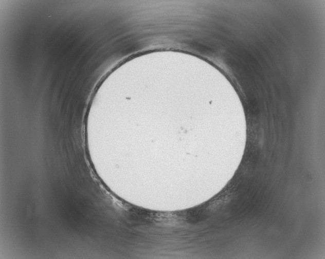 X0000061720807200512161553