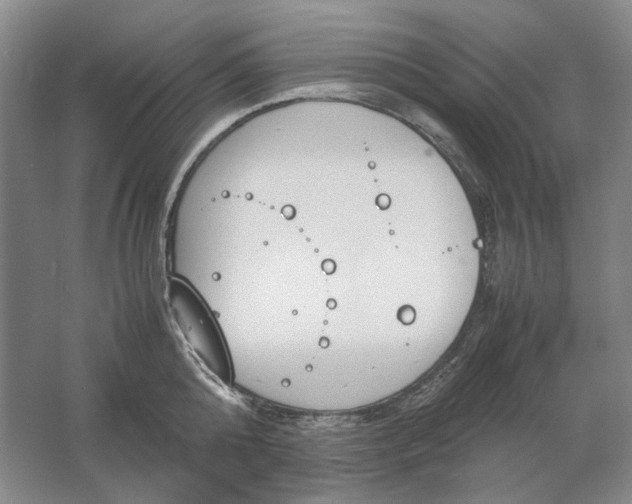 X0000061720808200512161553