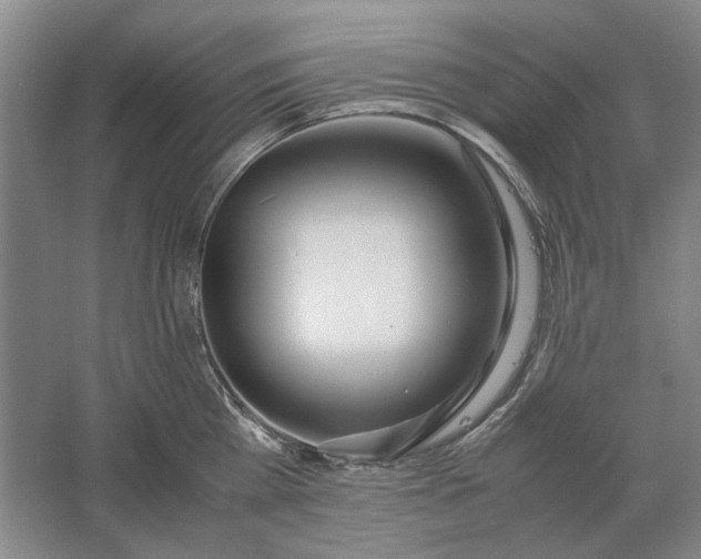 X0000061720809200512161553