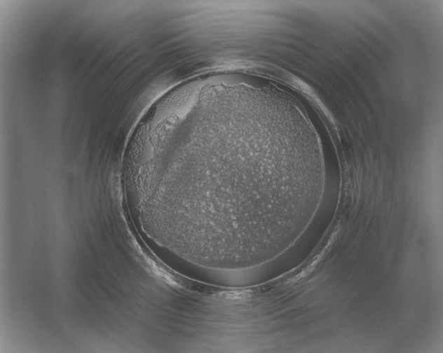 X0000061720810200512161553