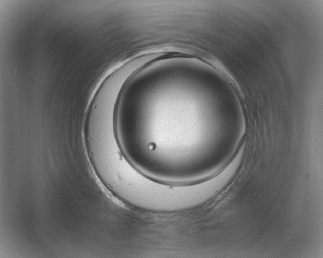 X0000061720813200512161553