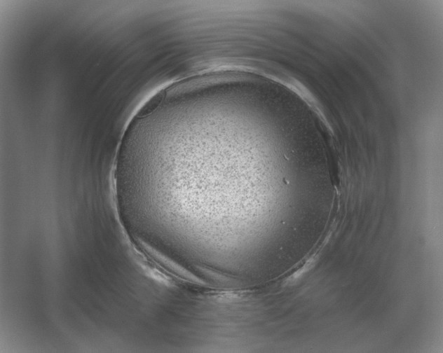 X0000061720814200512161553