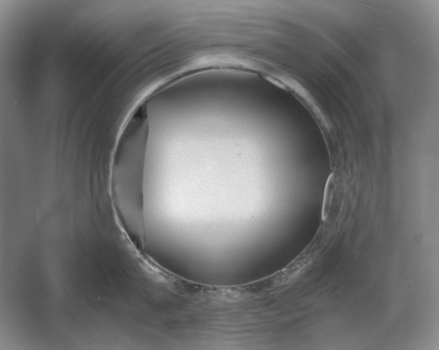 X0000061720815200512161553