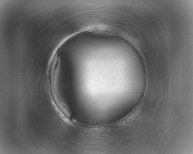 X0000061720816200512161553