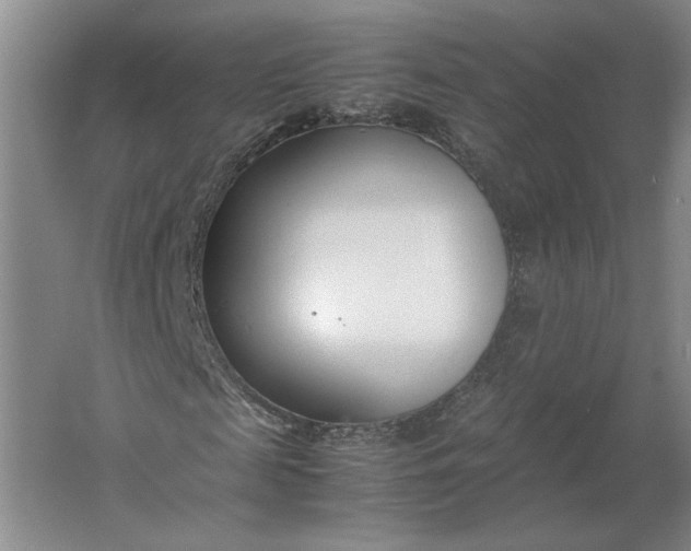 X0000061720817200512161552