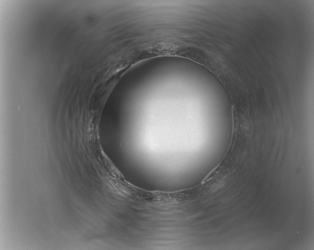 X0000061720818200512161553