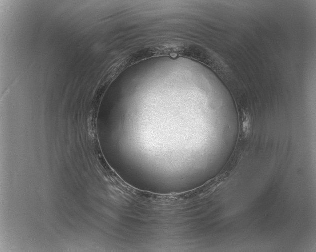 X0000061720819200512161553