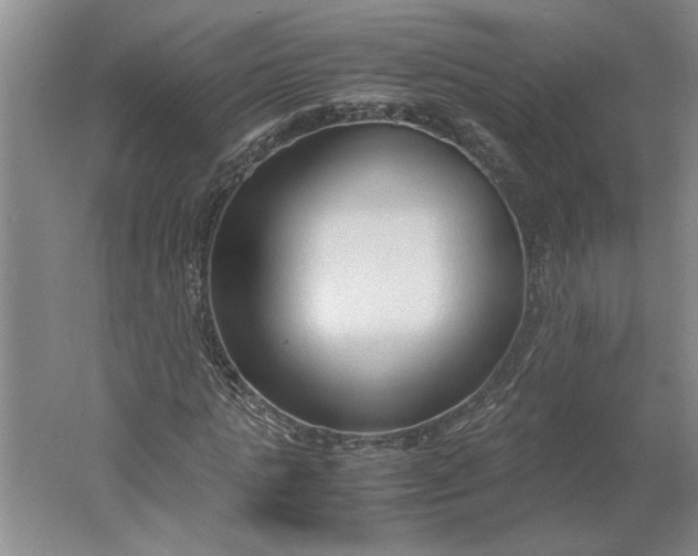 X0000061720821200512161553