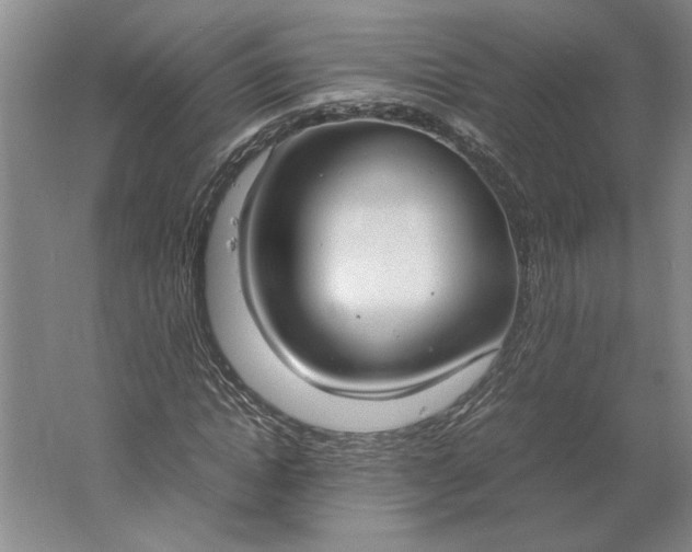 X0000061720822200512161553