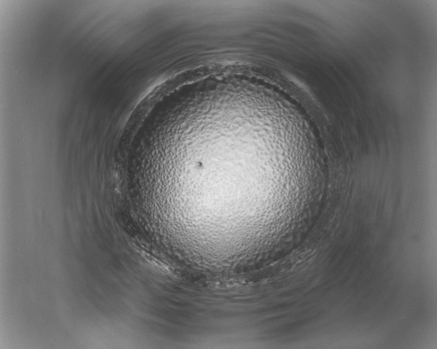 X0000061720823200512161553